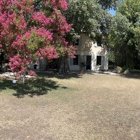 Alpilles Camargue Mas Falabrego Raphèle Extérieur photo