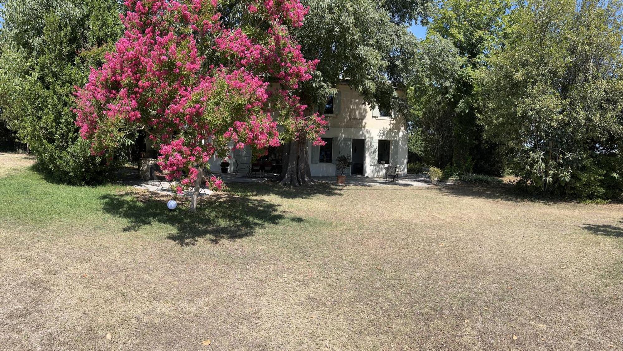 Alpilles Camargue Mas Falabrego Raphèle Extérieur photo