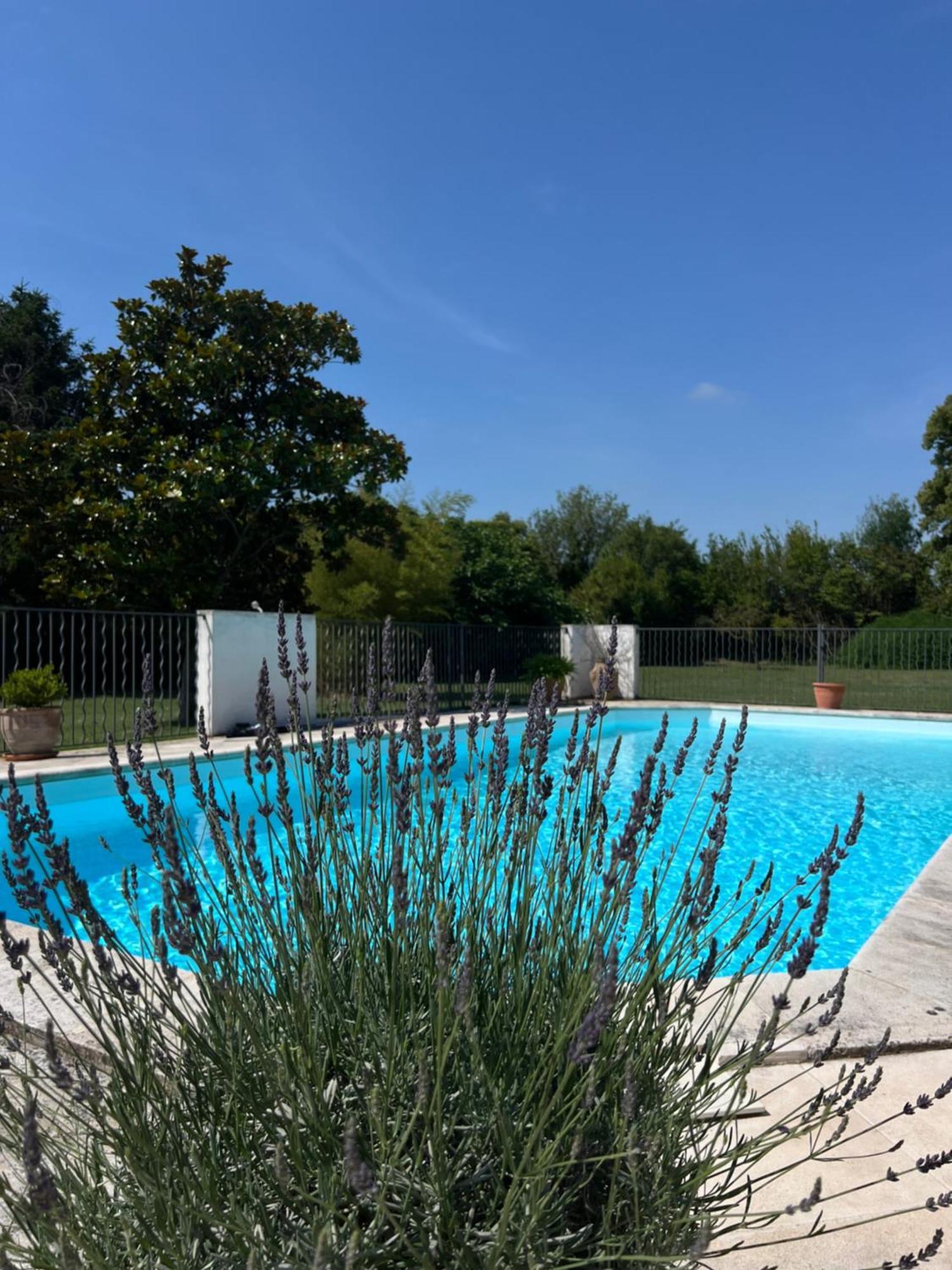 Alpilles Camargue Mas Falabrego Raphèle Extérieur photo